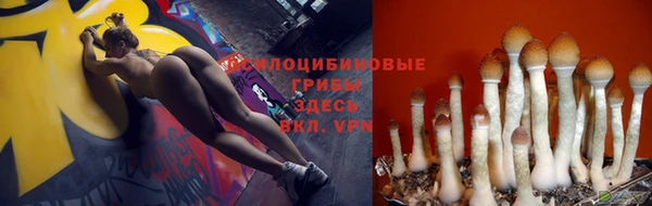 PSILOCYBIN Абаза