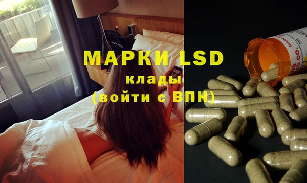 PSILOCYBIN Абаза