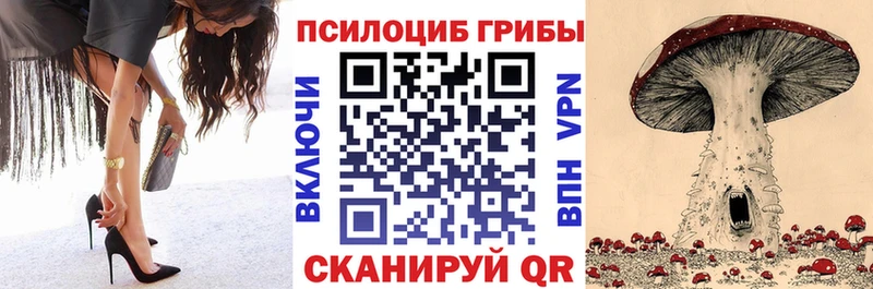 даркнет сайт  Богородицк  Псилоцибиновые грибы Magic Shrooms 