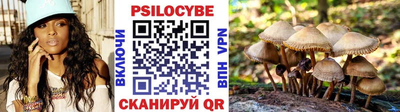 Галлюциногенные грибы Psilocybine cubensis Богородицк